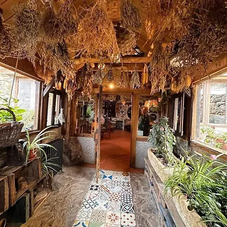 Cornatel Medulas 3* Borrenes