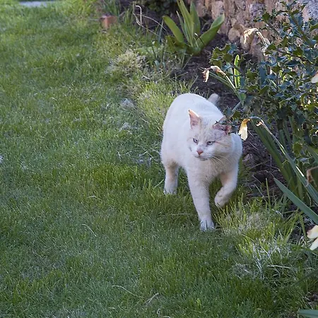 Hotel Cornatel Médulas Borrenes